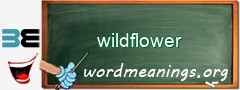 WordMeaning blackboard for wildflower